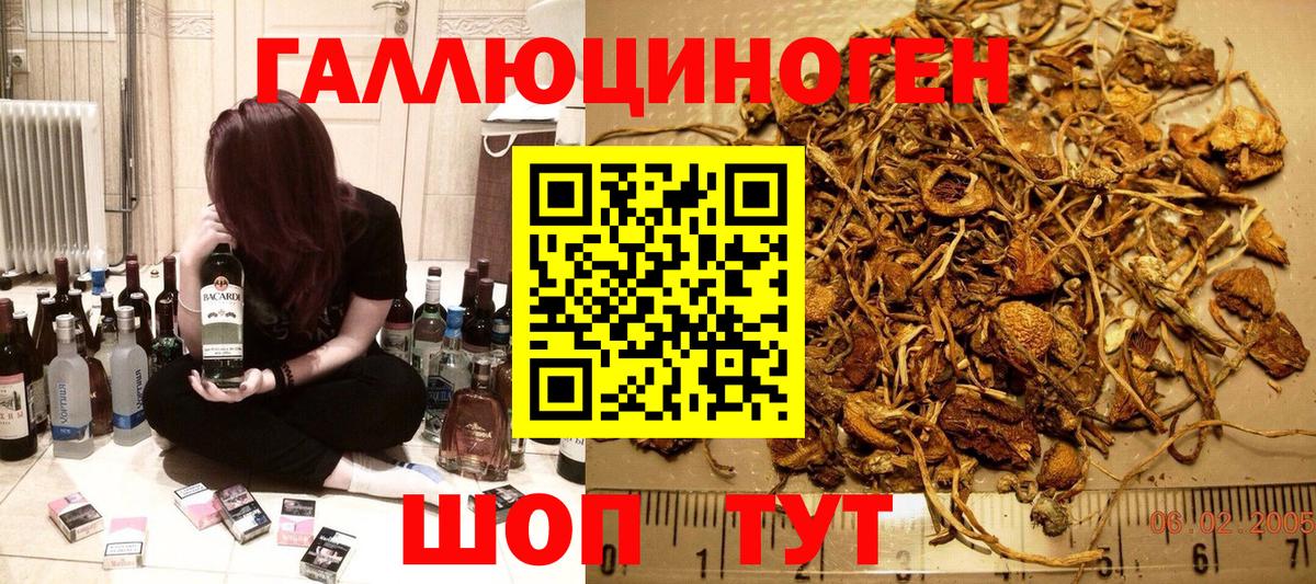 Галлюциногенные грибы мицелий Кстово