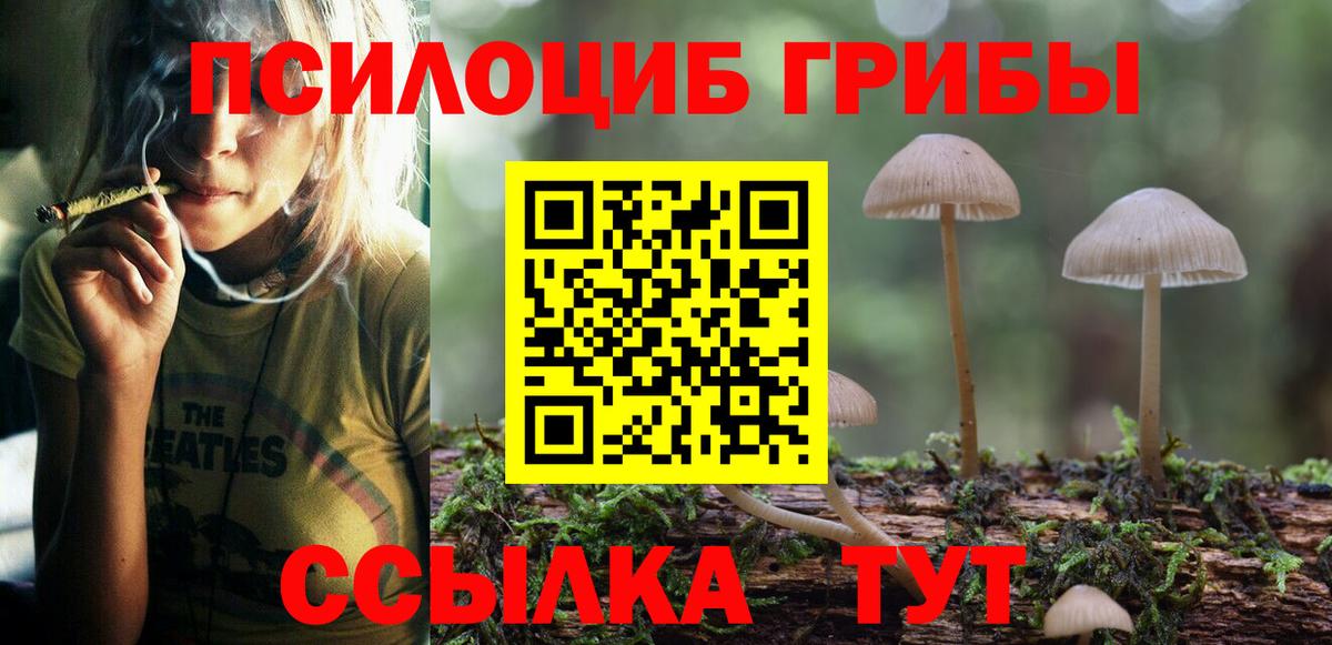 Галлюциногенные грибы Psilocybe  Галлюциногенные грибы ЛСД  цена наркотик  Вход с VPN  Кстово 
